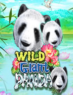 slotxo เครดิตฟรี 100 สำหรับทดลองเล่นที่ไม่ควรพลาด